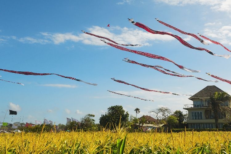 Bali Kite festival