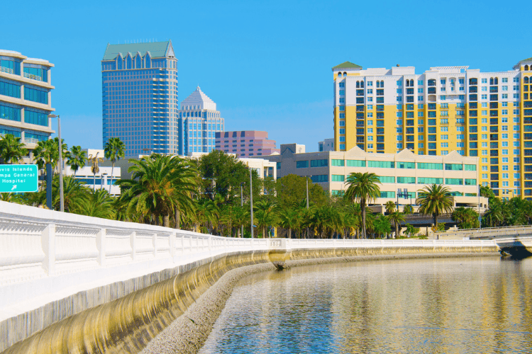 Bayshore Boulevard