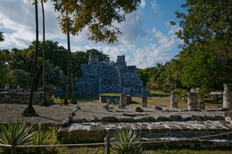 El Meco