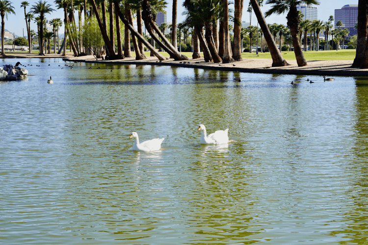 Encanto Park