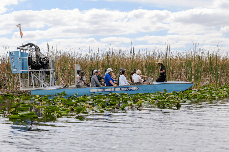 Everglades
