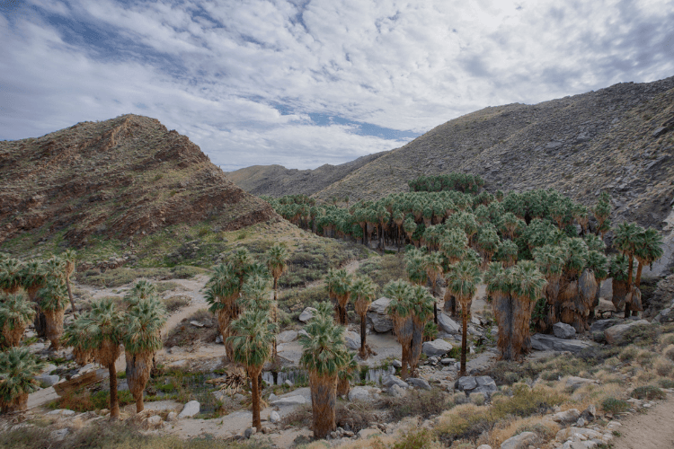 Indian Canyons