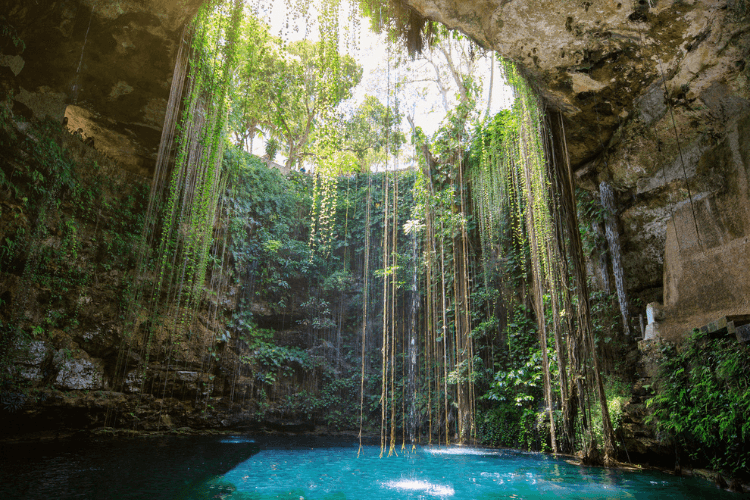 Ruta de los Cenotes