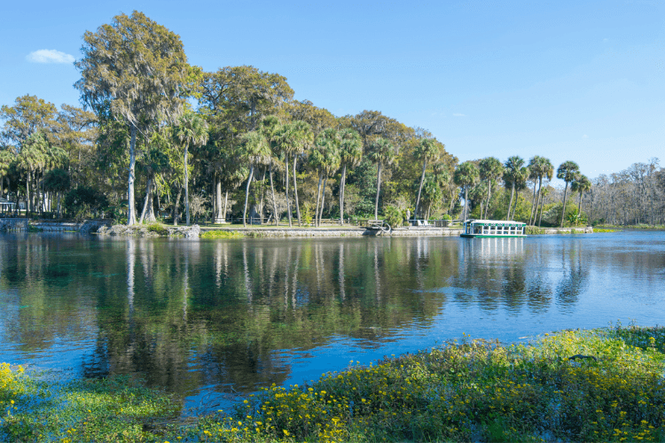 Silver Springs