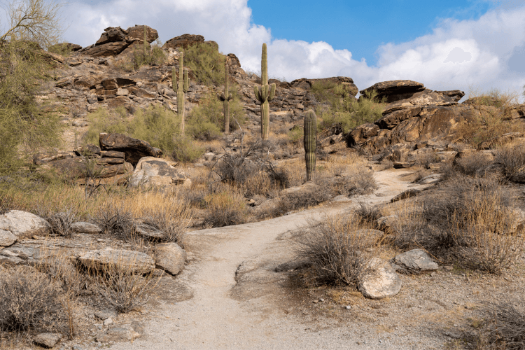  South Mountain Park