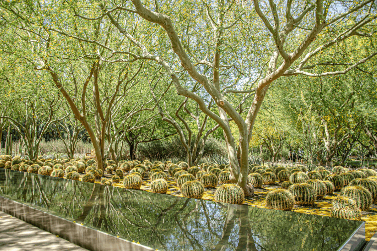 Sunnylands