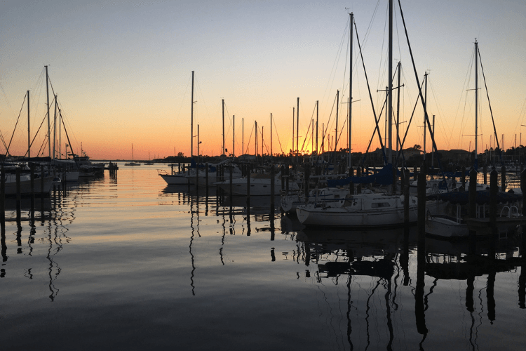 Tampa waterfront