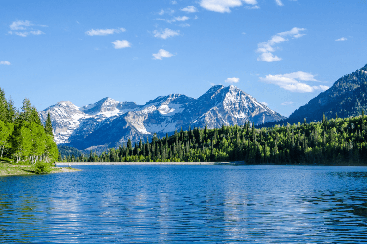 Wasatch Mountains