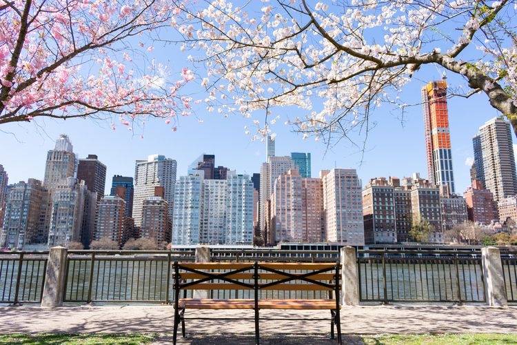 The best time to visit New York, cherry blossom in spring, April, Top Villas