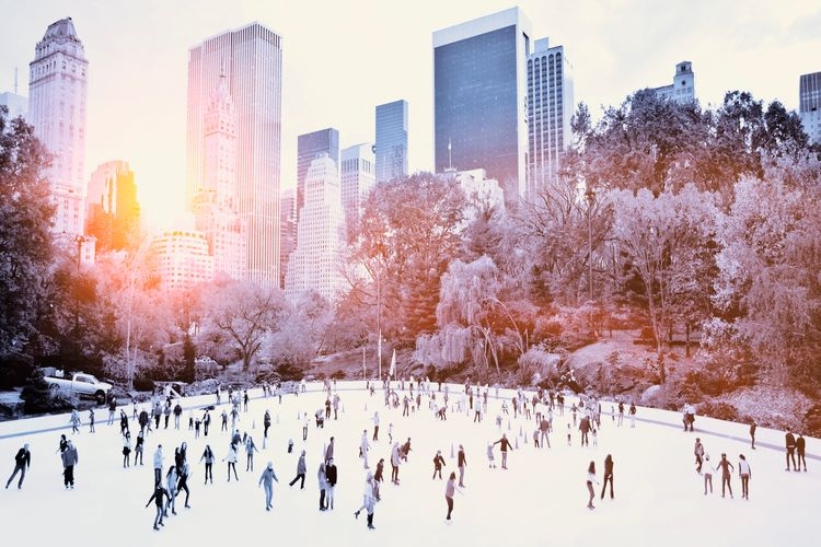 Ice rink in Central Park, the best time to visit New York, Top Villas