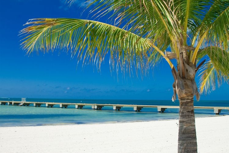 Best time to visit Key West, beach, Top Villas