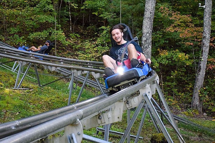 mountain coasters