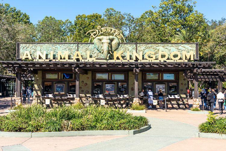 Animal Kingdom