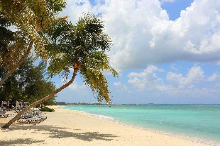 Cayman Beach