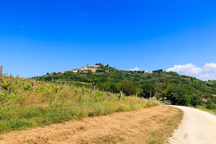 Istrian Hills 