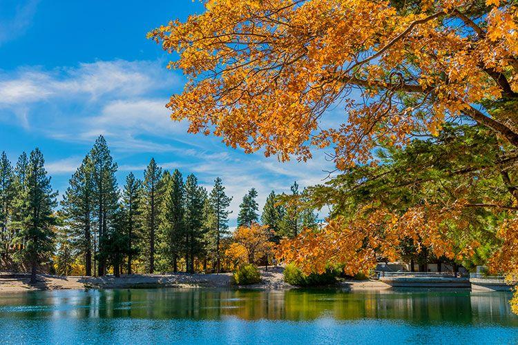 Lake Arrowhead