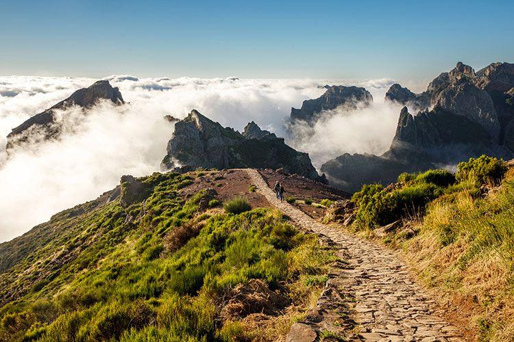 Levada trail