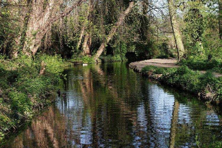 River Wandle