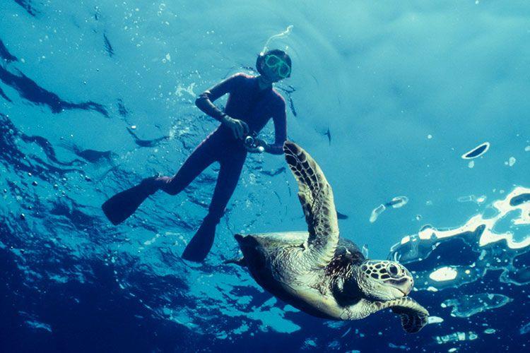 Snorkeling in Kona