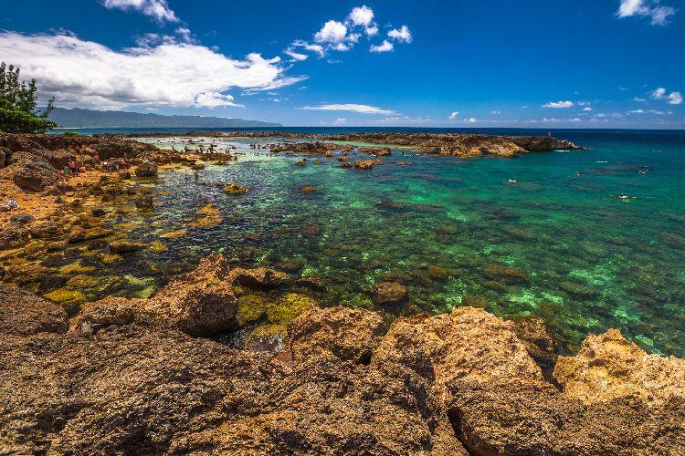 Snorkelling in Oahu.