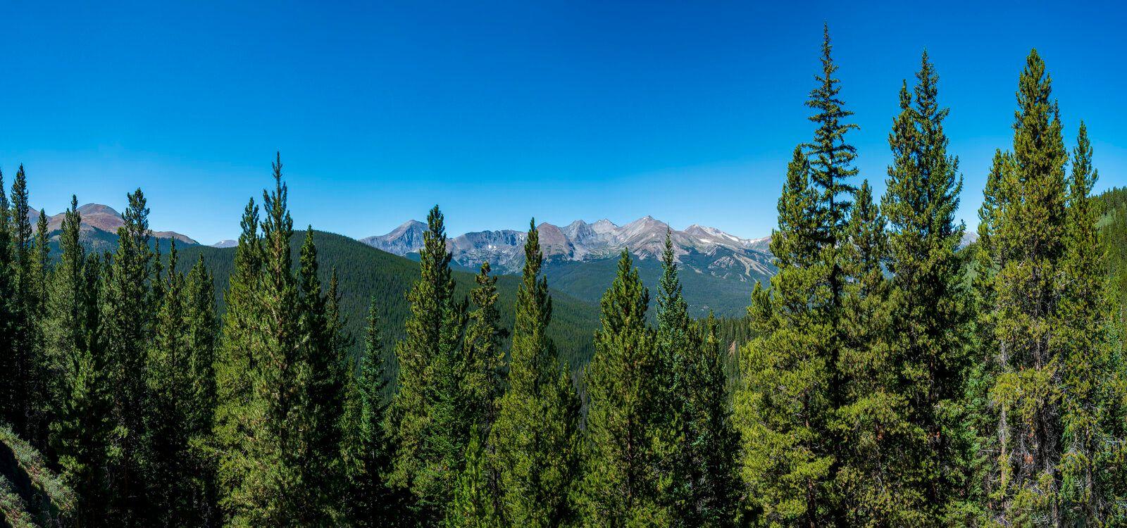 Breckenridge villas, summer forest scene, Top Villas