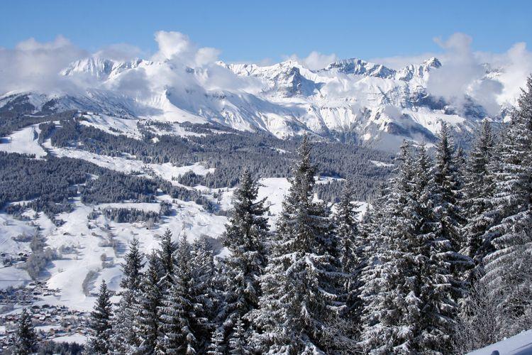 Mont d'Arbois chalets, ski slopes, Top Villas