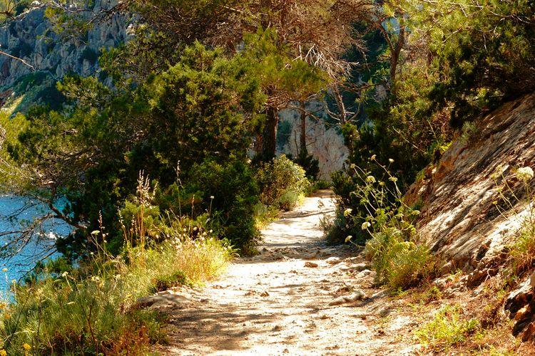 Things to do in San Josep, hiking trail