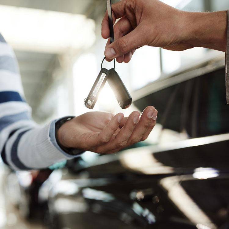 Car Rental Collection