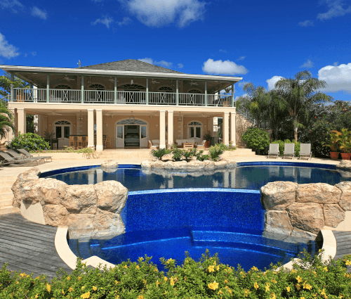 Sugar Hill - Bananaquit