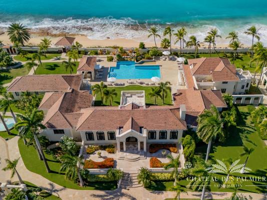 Chateau des Palmiers