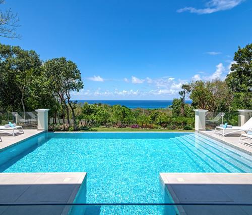 BougainVilla on Spring Farm