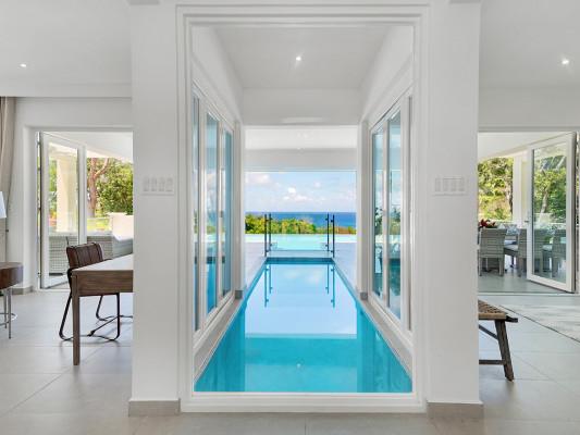 BougainVilla on Spring Farm