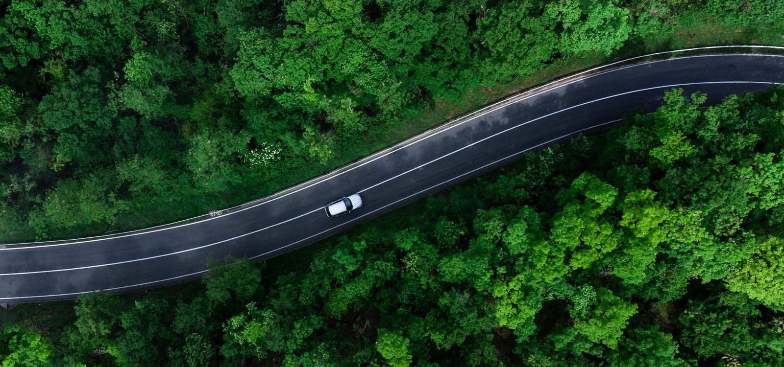 Car rental with Top Villas car in woodland