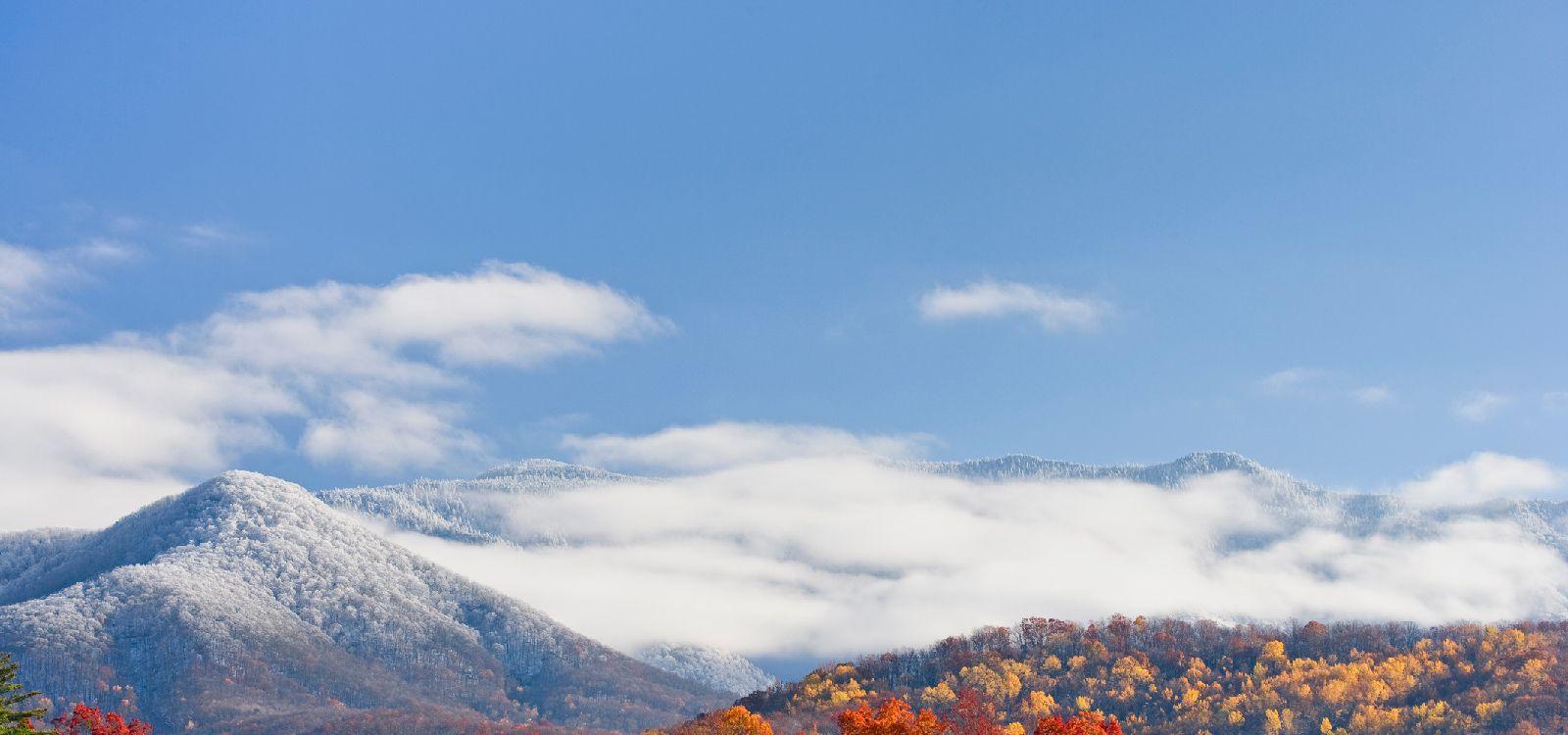 2 bedroom cabins in Tennessee