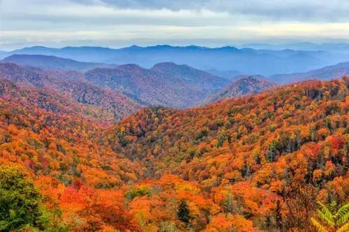 The Great Smoky Mountains in the fall