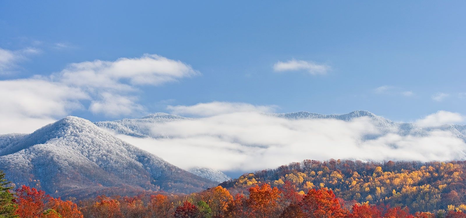 35+ Things To Do In Tennessee