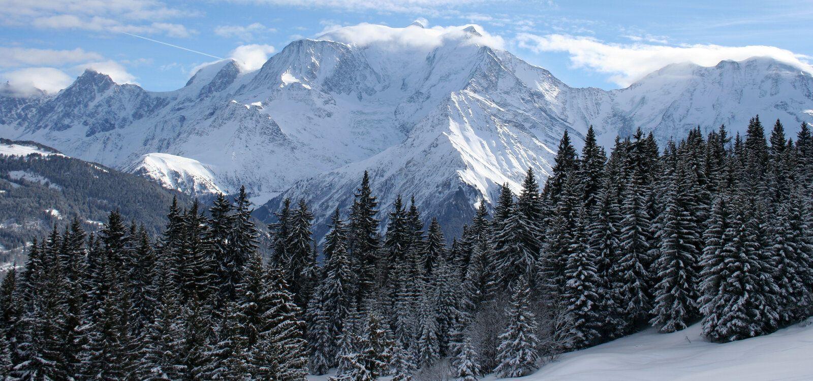 4 bedroom chalets in Megeve, ski scenery, Top Villas