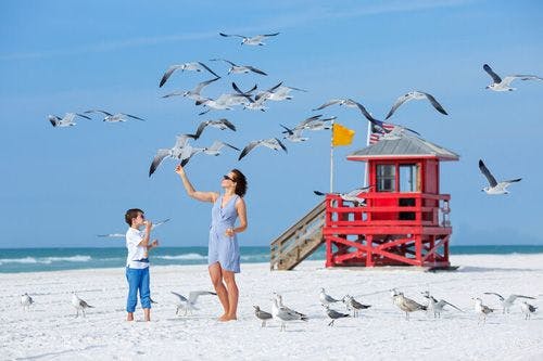 A woman and boy feeding seagulls on a white sand beach