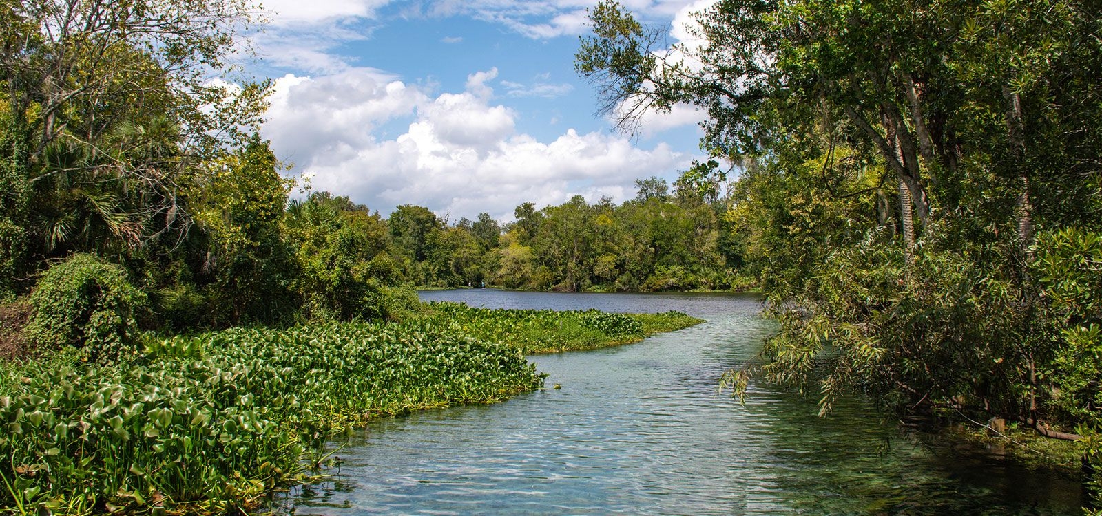 Accommodation near Wekiwa Springs State Park