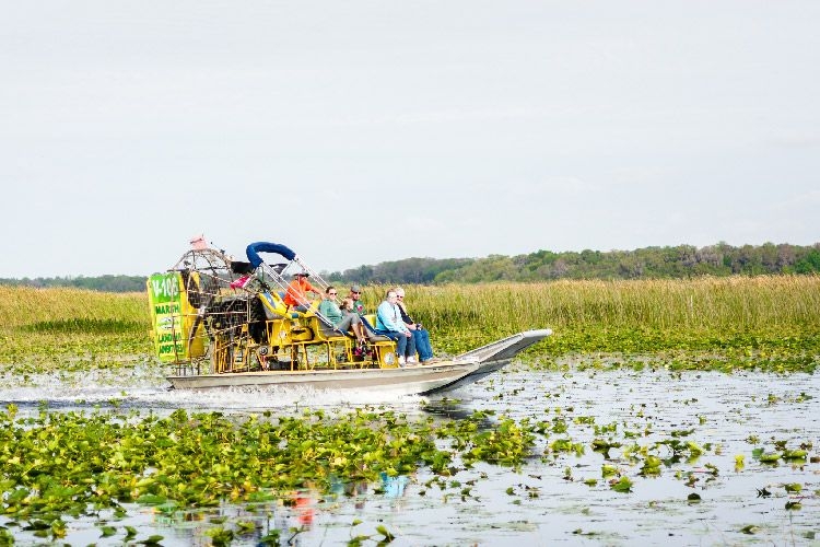 Airboat-Tour-in-Kissimmee.jpg