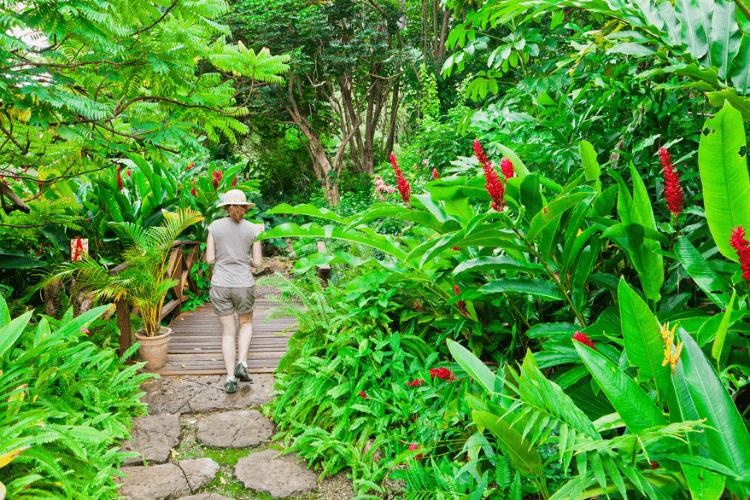 Andromeda Botanic Gardens