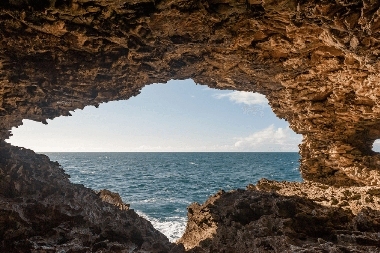 Animal Flower Cave