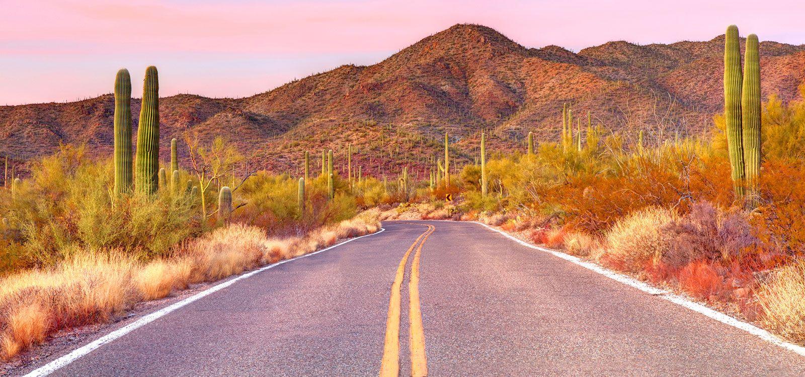 Arizona mansion rentals