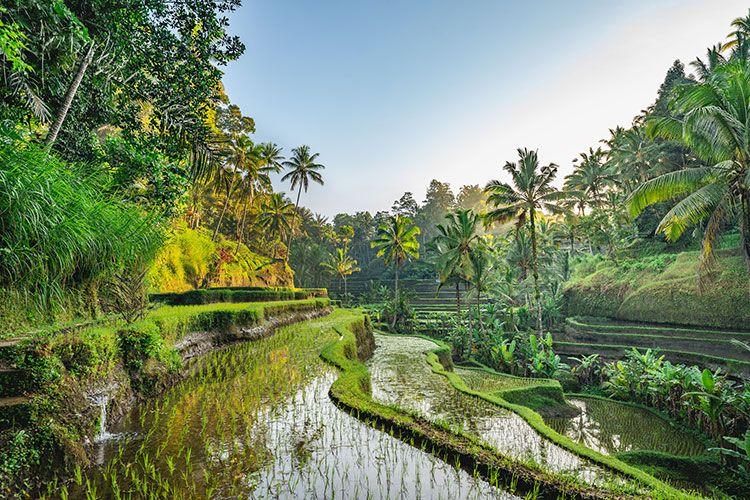 Bali Concierge services