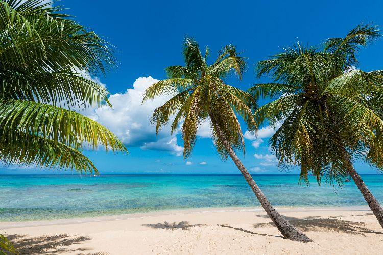 Barbados vs Saint Lucia Beach
