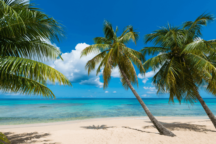 Barbados winter holidays