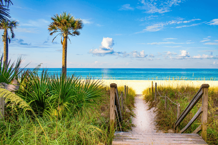 Best Time to Visit Panama City Beach