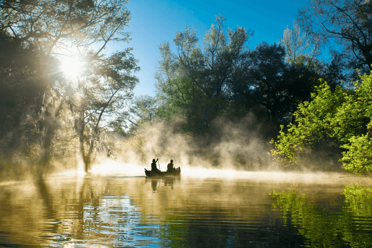 Best things to do in Georgia
