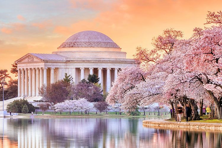 Best things to do in the Capitol, Washington-DC.