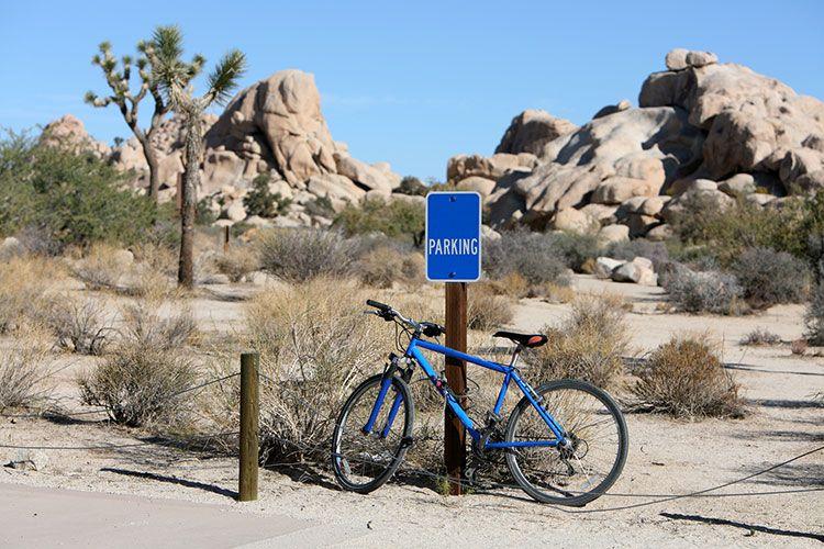 Biking in Joshua Tree